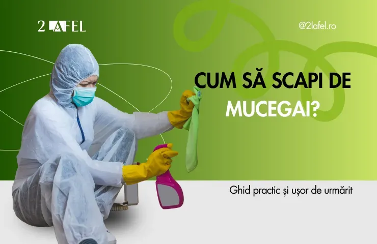 Cum scap de musceagi