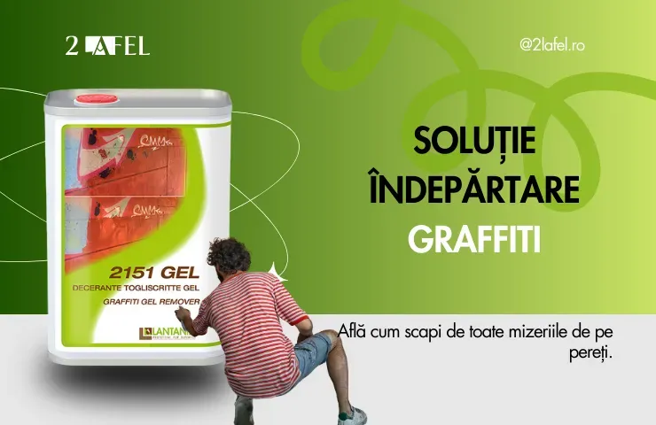 Solutie indepartare graffiti